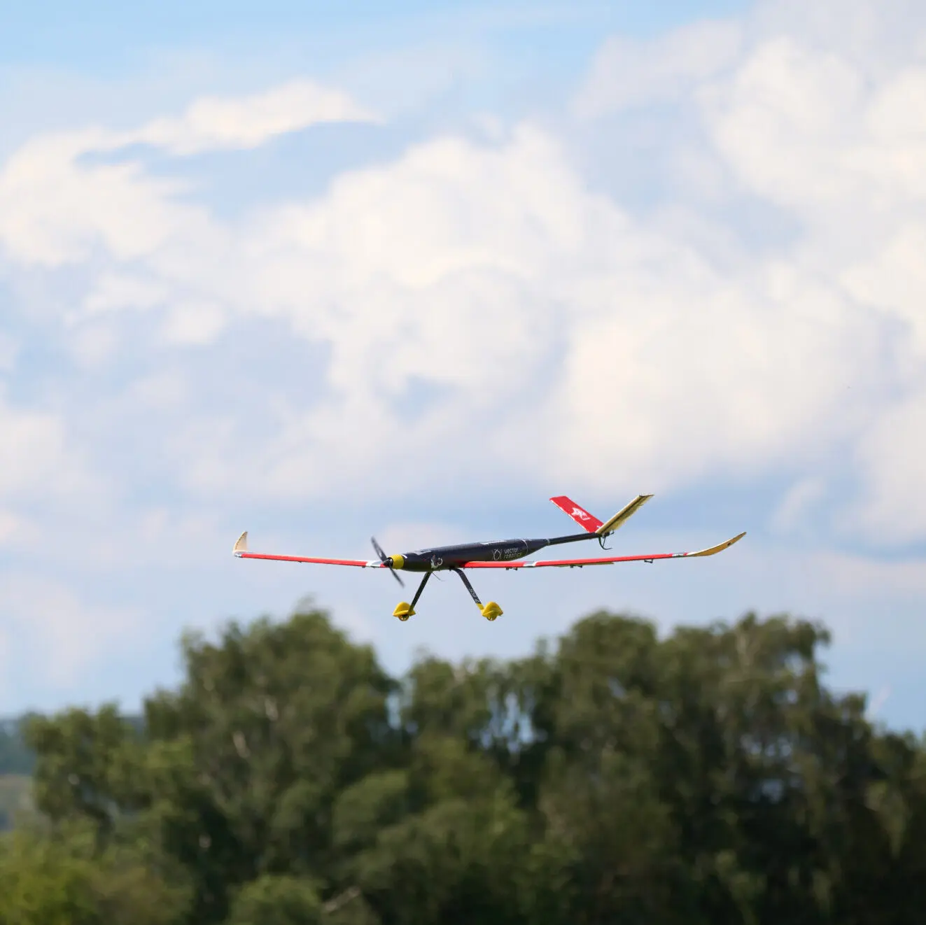 Zephira al campo volo